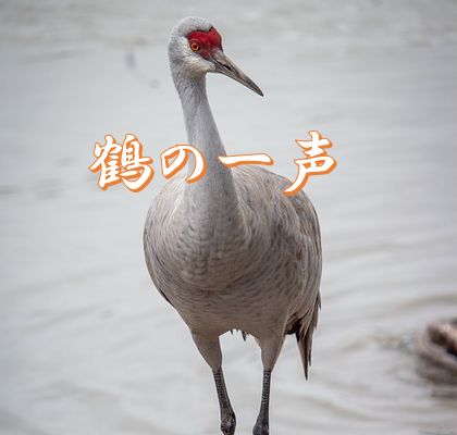 今日のことわざ 鶴の一声 の意味 由来 類義語 対義語 使い方 英語表現などをエピソードとともに解説