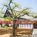 今日のことわざ 飛んで火に入る夏の虫 の意味 由来 類義語 対義語 使い方 英語表現などを徹底解説