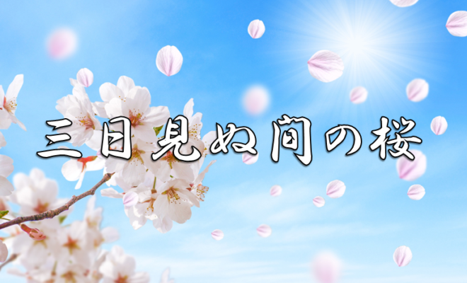 今日のことわざ 三日見ぬ間の桜 の意味 由来 類義語 対義語 使い方 英語表現などをエピソード付きで徹底解説