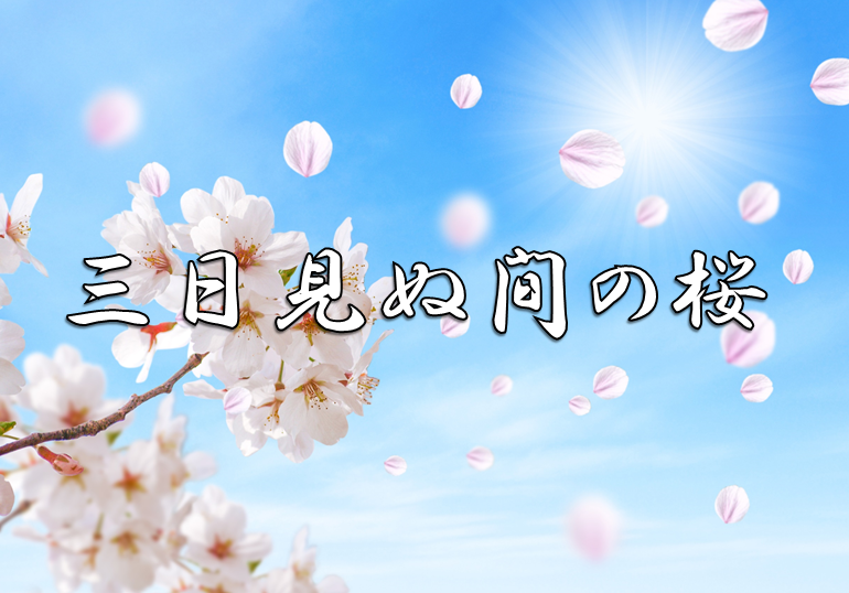 今日のことわざ 三日見ぬ間の桜 の意味 由来 類義語 対義語 使い方 英語表現などをエピソード付きで徹底解説