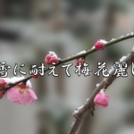 今日のことわざ 秘すれば花 の意味 由来 類義語 対義語 使い方 英語表現などをエピソード付きで徹底解説