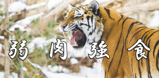 四字熟語に関する記事一覧 四字熟語に関する記事一覧