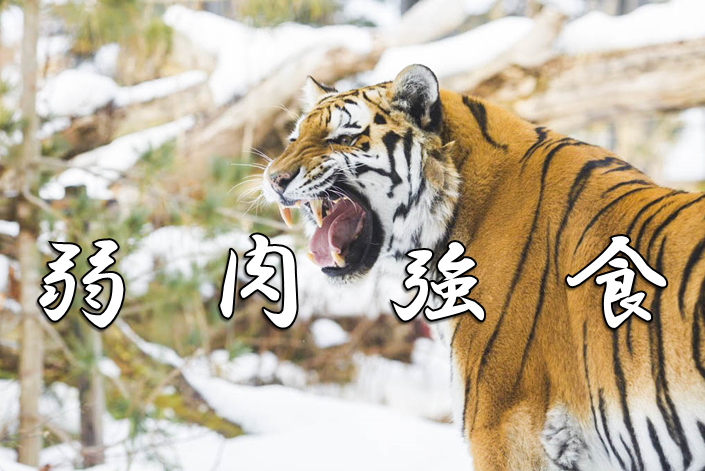 故事成語に関する記事一覧