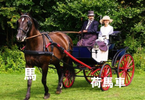 今日のことわざ 本末転倒 の意味 由来 類義語 対義語 使い方 英語表現などをエピソード付きで徹底解説