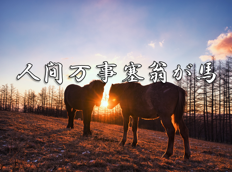 今日のことわざ 人間万事塞翁が馬 の意味 由来 類義語 対義語 使い方 英語表現などをエピソード付きで徹底解説