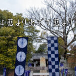 今日のことわざ 秘すれば花 の意味 由来 類義語 対義語 使い方 英語表現などをエピソード付きで徹底解説