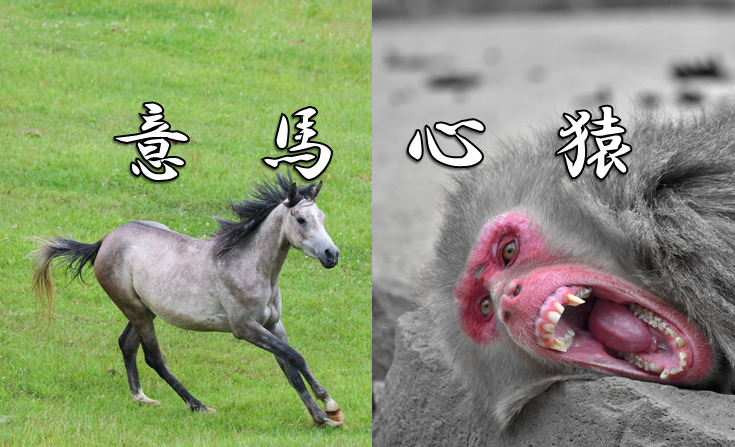 今日のことわざ 意馬心猿 の意味 由来 類義語 対義語 使い方 英語表現などをエピソード付きで徹底解説 今日のことわざ 意馬心猿 の意味 由来 類義語 対義語 使い方 英語表現などをエピソード付きで徹底解説