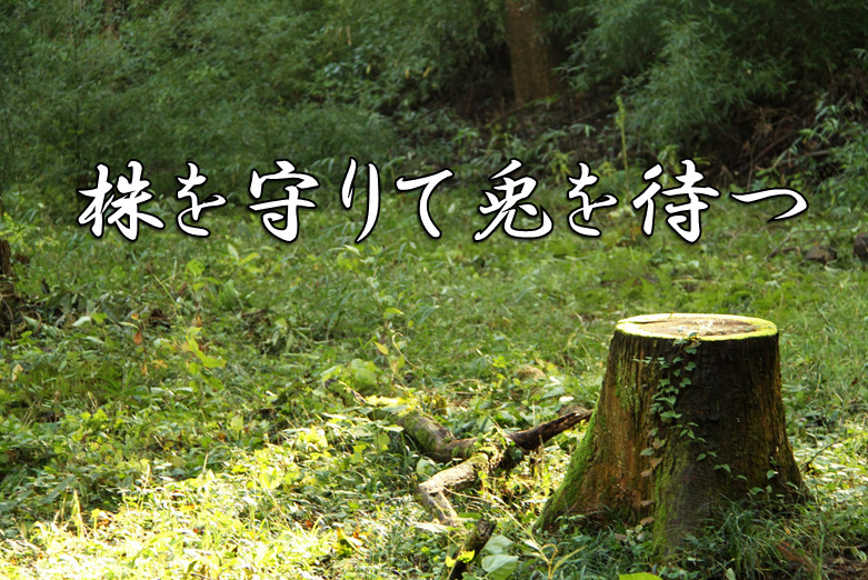 今日のことわざ 株を守りて兎を待つ の意味 由来 類義語 対義語 使い方 英語表現などをエピソード付きで徹底解説