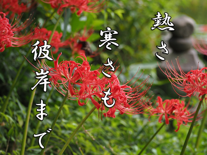 今日のことわざ 暑さ寒さも彼岸まで の意味 由来 類義語 対義語 使い方 英語表現などをエピソード付きで徹底解説