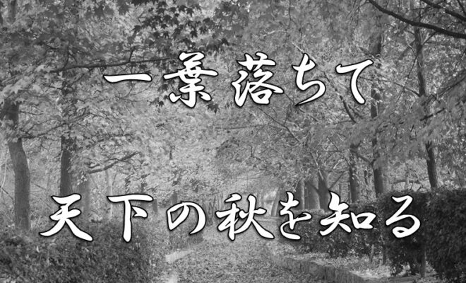 今日のことわざ 一葉落ちて天下の秋を知る の意味 由来 類義語 対義語 使い方 英語表現などをエピソード付きで徹底解説