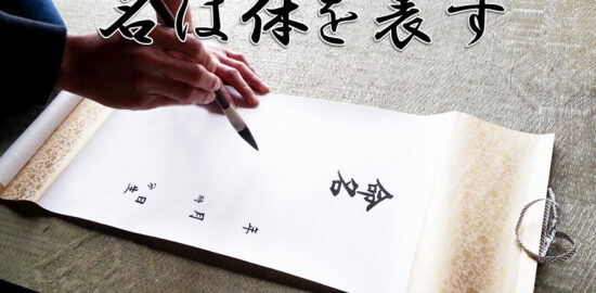 蓮くんに関する記事一覧